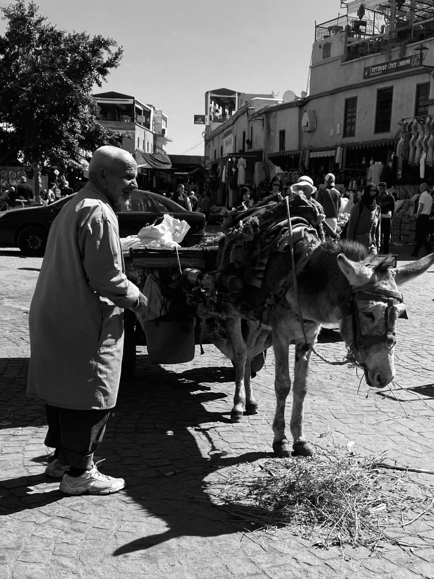 Riad Alamine Μαρακές Εξωτερικό φωτογραφία